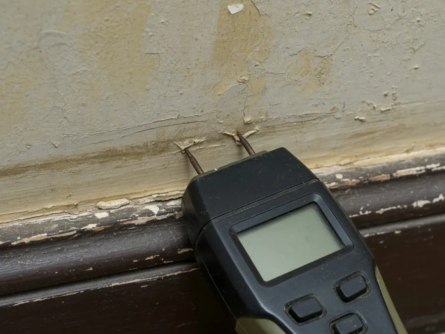 A handheld moisture meter with two probe pins pressed into the plaster just above a skirting board, on a wall where the paint is lifting.