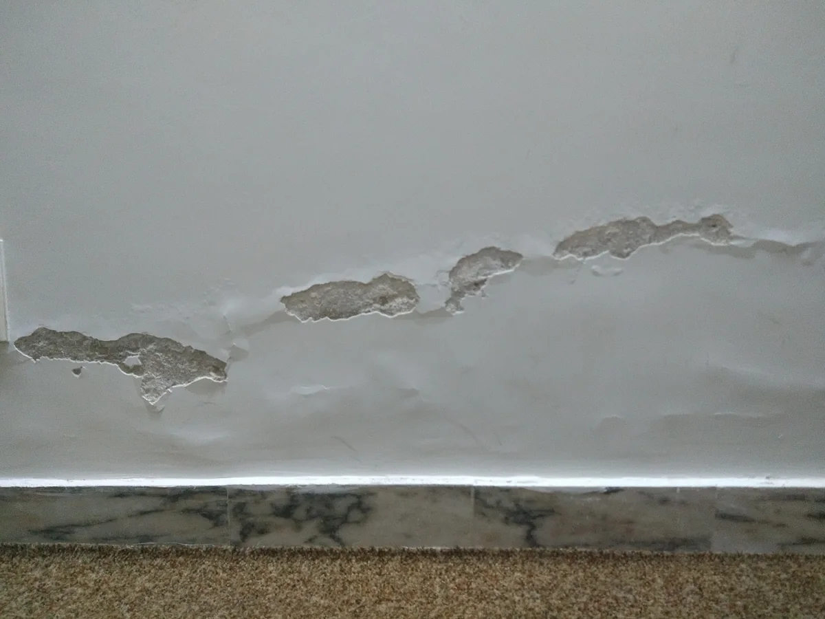An internal wall where paint and plaster have failed along a roughly horizontal line above the skirting board.